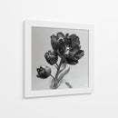 Flores escala de grises - DIEGO D L | Cuadro decorativo de Canvas Lab