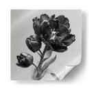 Flores escala de grises - DIEGO D L | Cuadro decorativo de Canvas Lab