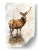 Venado - Caperh | Cuadro decorativo de Canvas Lab