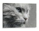 Gatito - DIEGO D L | Cuadro decorativo de Canvas Lab