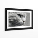 Gatito - DIEGO D L | Cuadro decorativo de Canvas Lab