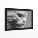 Gatito - DIEGO D L | Cuadro decorativo de Canvas Lab