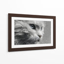 Gatito - DIEGO D L | Cuadro decorativo de Canvas Lab