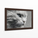Gatito - DIEGO D L | Cuadro decorativo de Canvas Lab