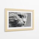 Gatito - DIEGO D L | Cuadro decorativo de Canvas Lab