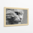 Gatito - DIEGO D L | Cuadro decorativo de Canvas Lab