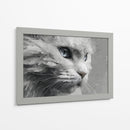 Gatito - DIEGO D L | Cuadro decorativo de Canvas Lab