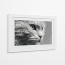 Gatito - DIEGO D L | Cuadro decorativo de Canvas Lab