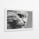 Gatito - DIEGO D L | Cuadro decorativo de Canvas Lab