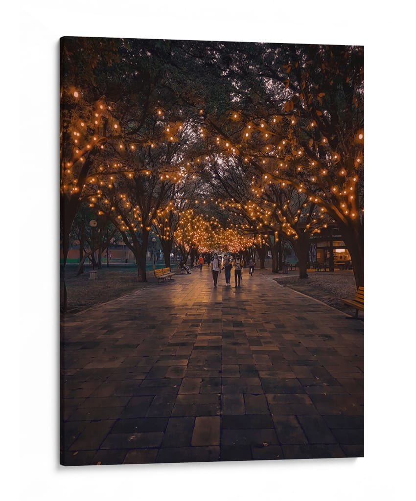Túnel de Luz en el Paseo - Carvill | Cuadro decorativo de Canvas Lab