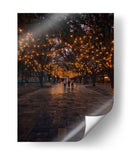 Túnel de Luz en el Paseo - Carvill | Cuadro decorativo de Canvas Lab