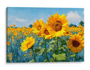 Campo que gira  - DIEGO D L | Cuadro decorativo de Canvas Lab