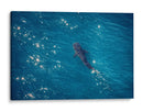 Giant of the Blue - Gibran Becerril  | Cuadro decorativo de Canvas Lab