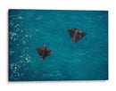 Spotted Dance - Gibran Becerril  | Cuadro decorativo de Canvas Lab
