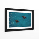 Spotted Dance - Gibran Becerril  | Cuadro decorativo de Canvas Lab