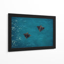 Spotted Dance - Gibran Becerril  | Cuadro decorativo de Canvas Lab