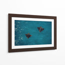 Spotted Dance - Gibran Becerril  | Cuadro decorativo de Canvas Lab