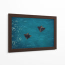 Spotted Dance - Gibran Becerril  | Cuadro decorativo de Canvas Lab