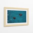 Spotted Dance - Gibran Becerril  | Cuadro decorativo de Canvas Lab