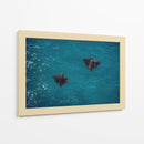 Spotted Dance - Gibran Becerril  | Cuadro decorativo de Canvas Lab