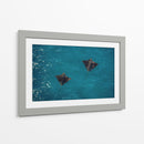 Spotted Dance - Gibran Becerril  | Cuadro decorativo de Canvas Lab