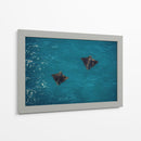 Spotted Dance - Gibran Becerril  | Cuadro decorativo de Canvas Lab
