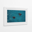 Spotted Dance - Gibran Becerril  | Cuadro decorativo de Canvas Lab
