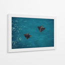 Spotted Dance - Gibran Becerril  | Cuadro decorativo de Canvas Lab
