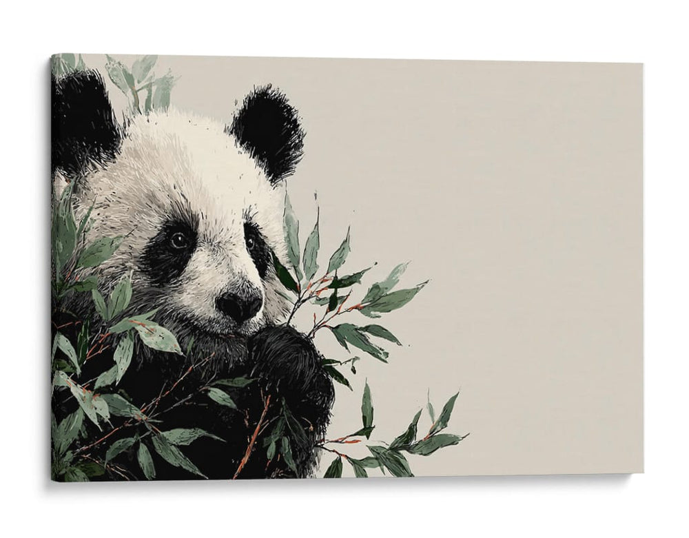 Panda - DIEGO D L | Cuadro decorativo de Canvas Lab