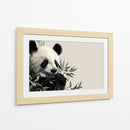 Panda - DIEGO D L | Cuadro decorativo de Canvas Lab