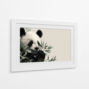 Panda - DIEGO D L | Cuadro decorativo de Canvas Lab