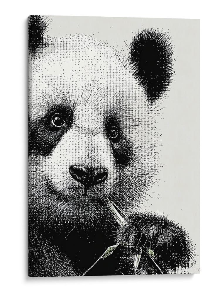 Pandas - DIEGO D L | Cuadro decorativo de Canvas Lab