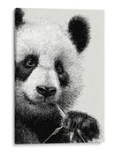 Pandas - DIEGO D L | Cuadro decorativo de Canvas Lab