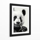 Pandas - DIEGO D L | Cuadro decorativo de Canvas Lab