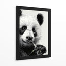 Pandas - DIEGO D L | Cuadro decorativo de Canvas Lab