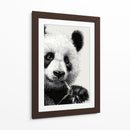 Pandas - DIEGO D L | Cuadro decorativo de Canvas Lab