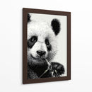 Pandas - DIEGO D L | Cuadro decorativo de Canvas Lab