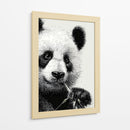 Pandas - DIEGO D L | Cuadro decorativo de Canvas Lab