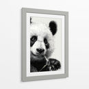 Pandas - DIEGO D L | Cuadro decorativo de Canvas Lab