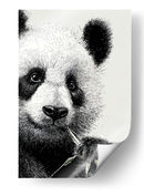 Pandas - DIEGO D L | Cuadro decorativo de Canvas Lab
