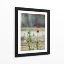 Ave posando sobre una flor  - ALEJANDRE PHOTOGRAPHY | Cuadro decorativo de Canvas Lab