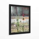 Ave posando sobre una flor  - ALEJANDRE PHOTOGRAPHY | Cuadro decorativo de Canvas Lab