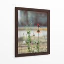 Ave posando sobre una flor  - ALEJANDRE PHOTOGRAPHY | Cuadro decorativo de Canvas Lab