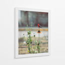 Ave posando sobre una flor  - ALEJANDRE PHOTOGRAPHY | Cuadro decorativo de Canvas Lab