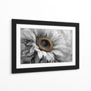 Girasol gris - DIEGO D L | Cuadro decorativo de Canvas Lab