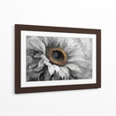 Girasol gris - DIEGO D L | Cuadro decorativo de Canvas Lab