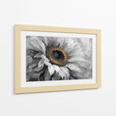Girasol gris - DIEGO D L | Cuadro decorativo de Canvas Lab