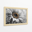 Girasol gris - DIEGO D L | Cuadro decorativo de Canvas Lab