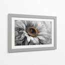 Girasol gris - DIEGO D L | Cuadro decorativo de Canvas Lab
