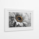Girasol gris - DIEGO D L | Cuadro decorativo de Canvas Lab